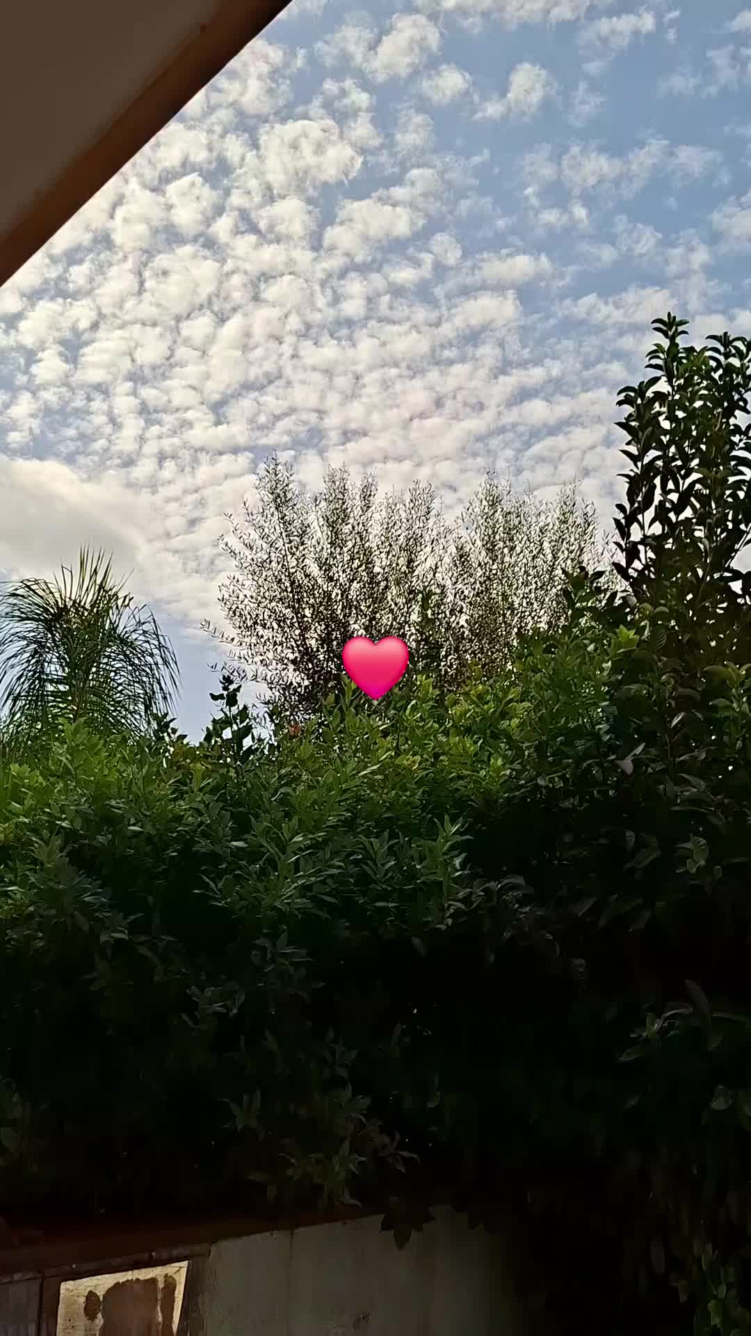 @Maria Varriale🌹