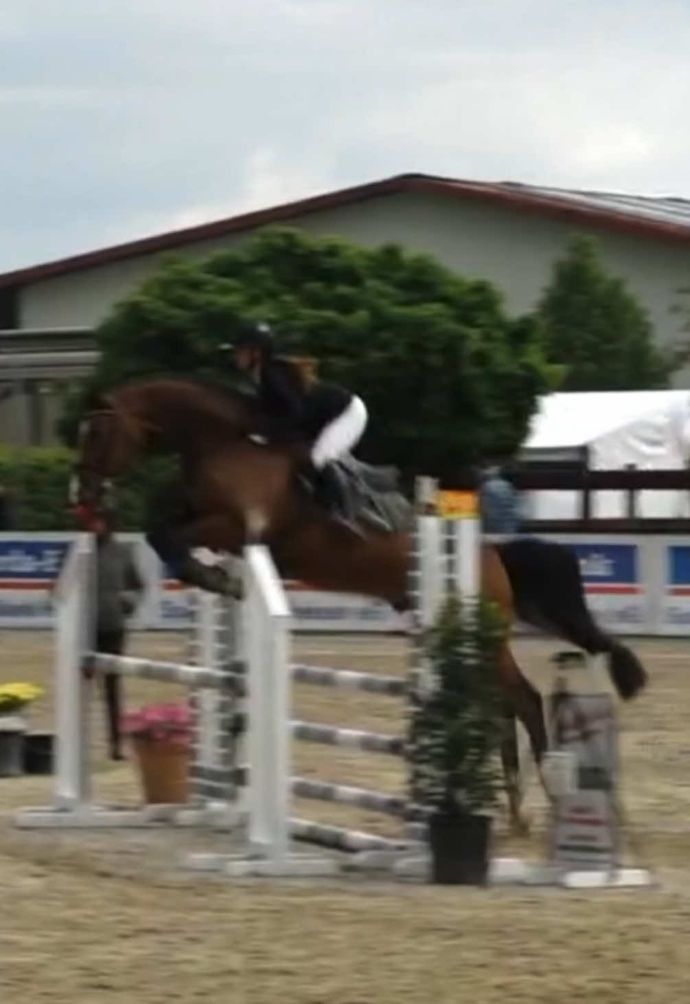 @La.Dolce.Horses