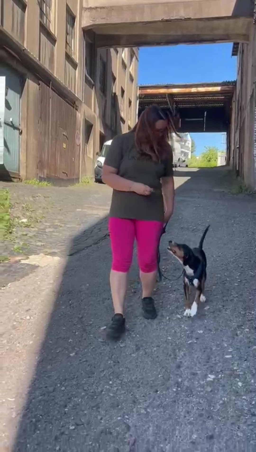 @Olesia • Hundezentrum Lapki