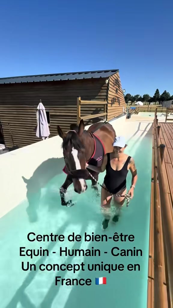 @Centre BienEtre Equin & Canin