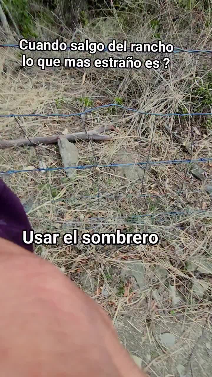 @Pedro salvador