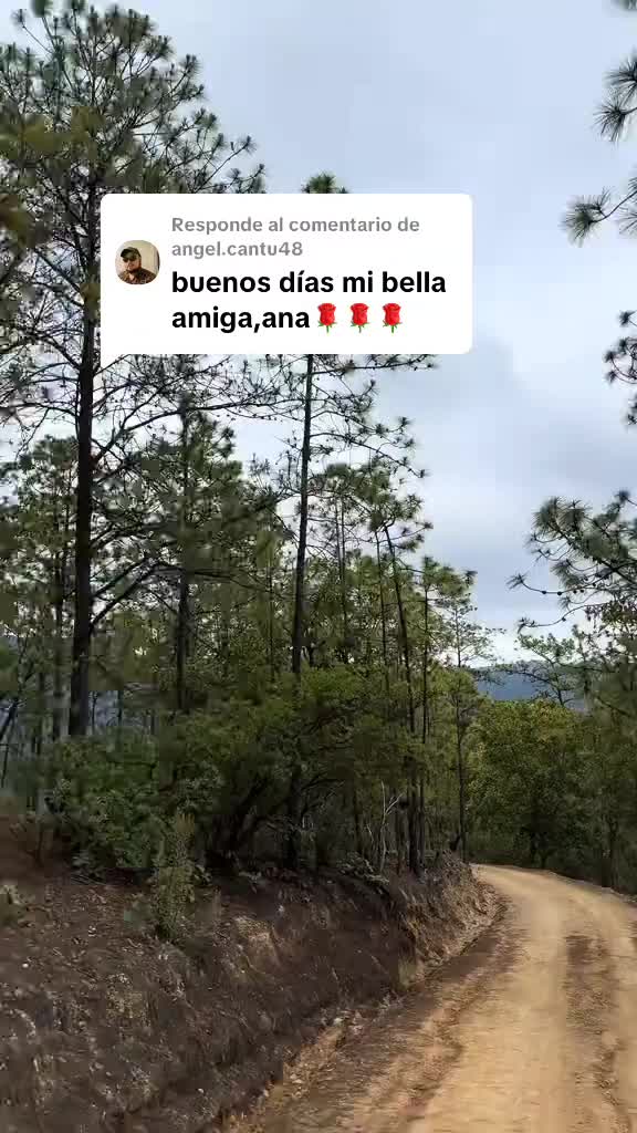 @Ana
