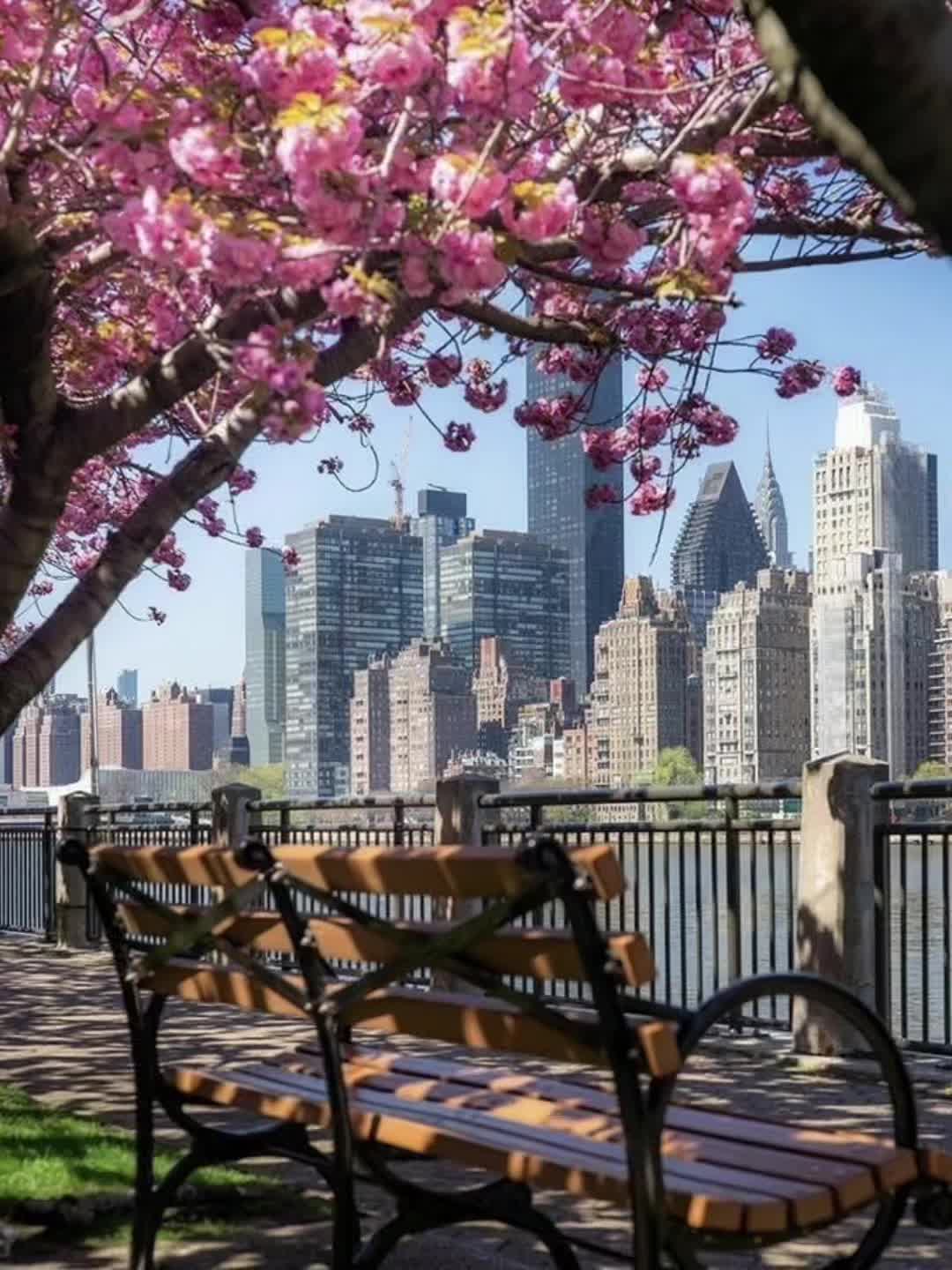 @𝓢