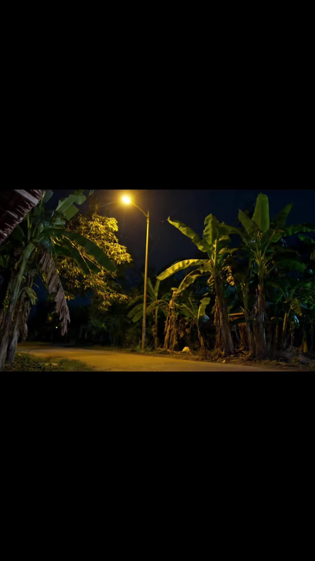 @Nghĩa Trương2495