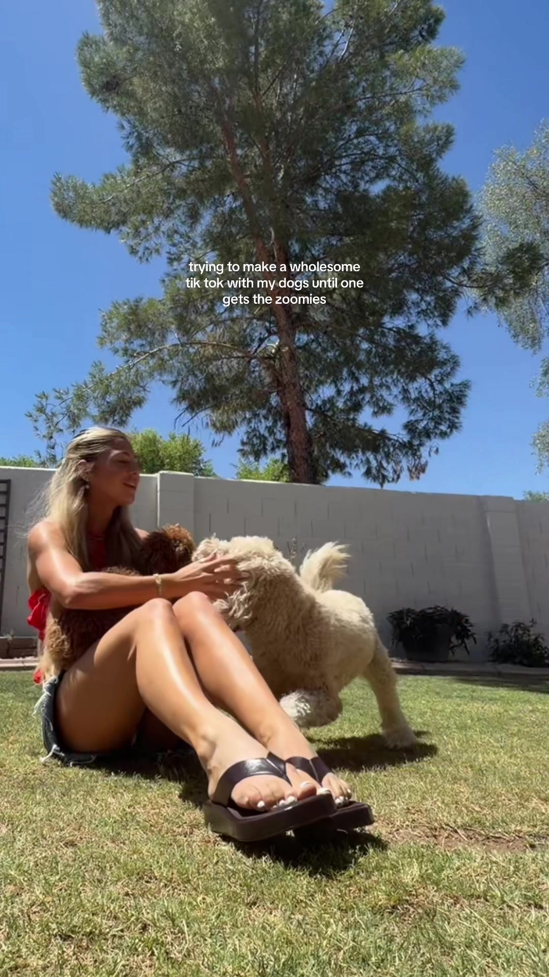 @Addi