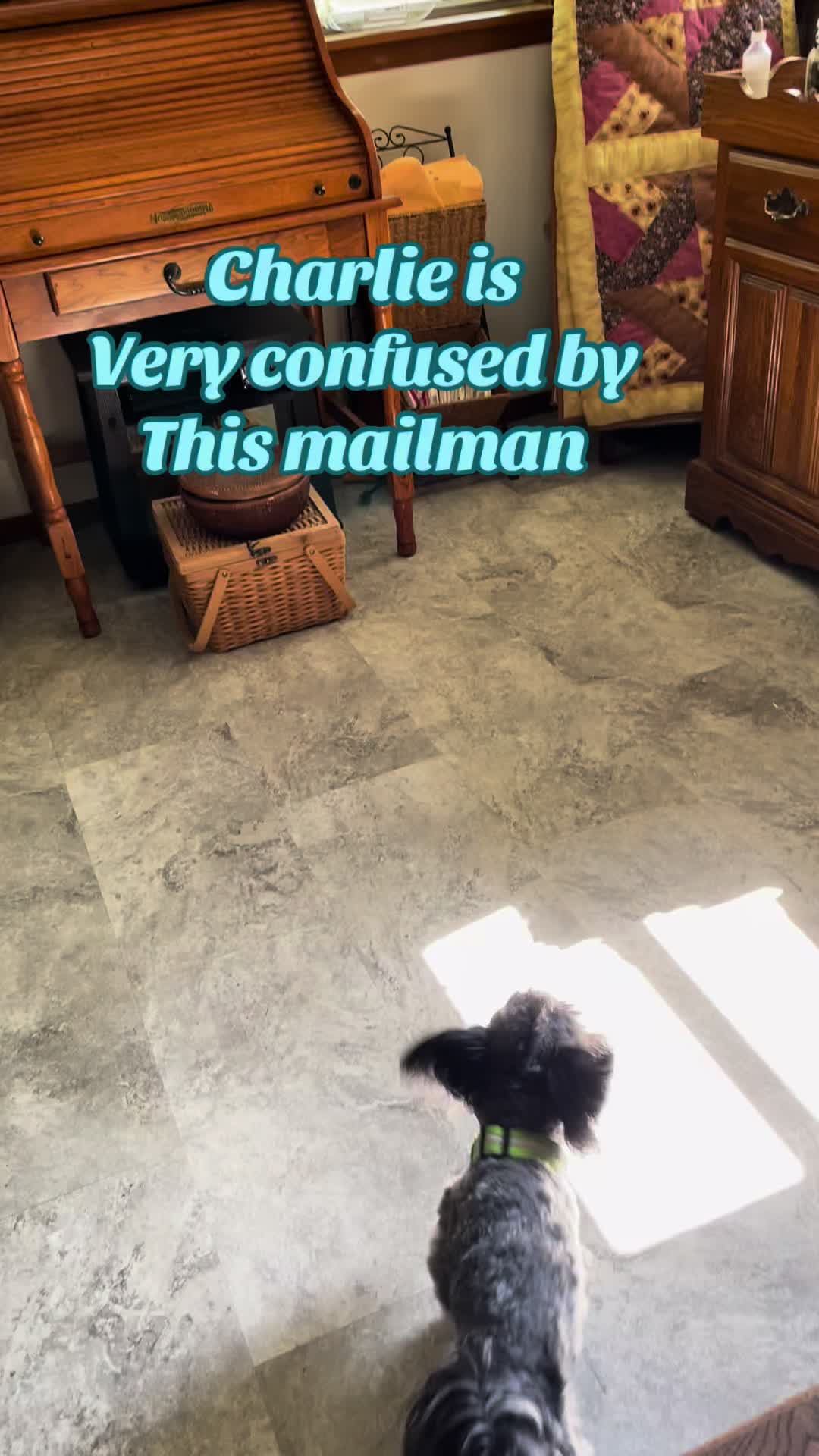 @Critter_Farm