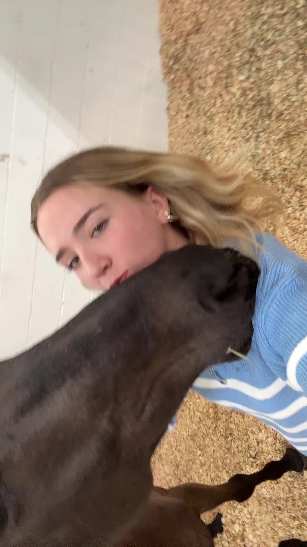 @hailee roy