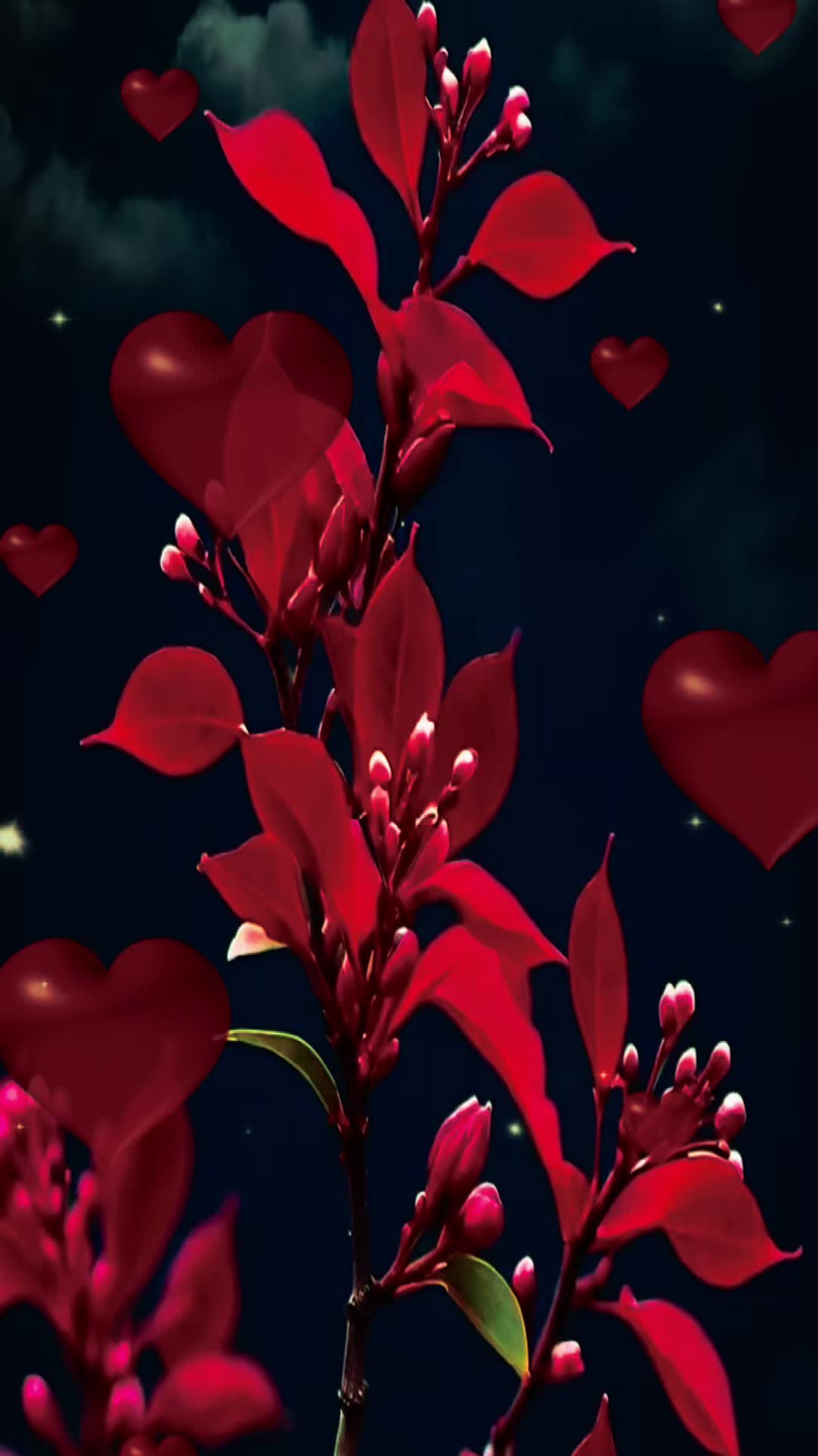 @💕Mary