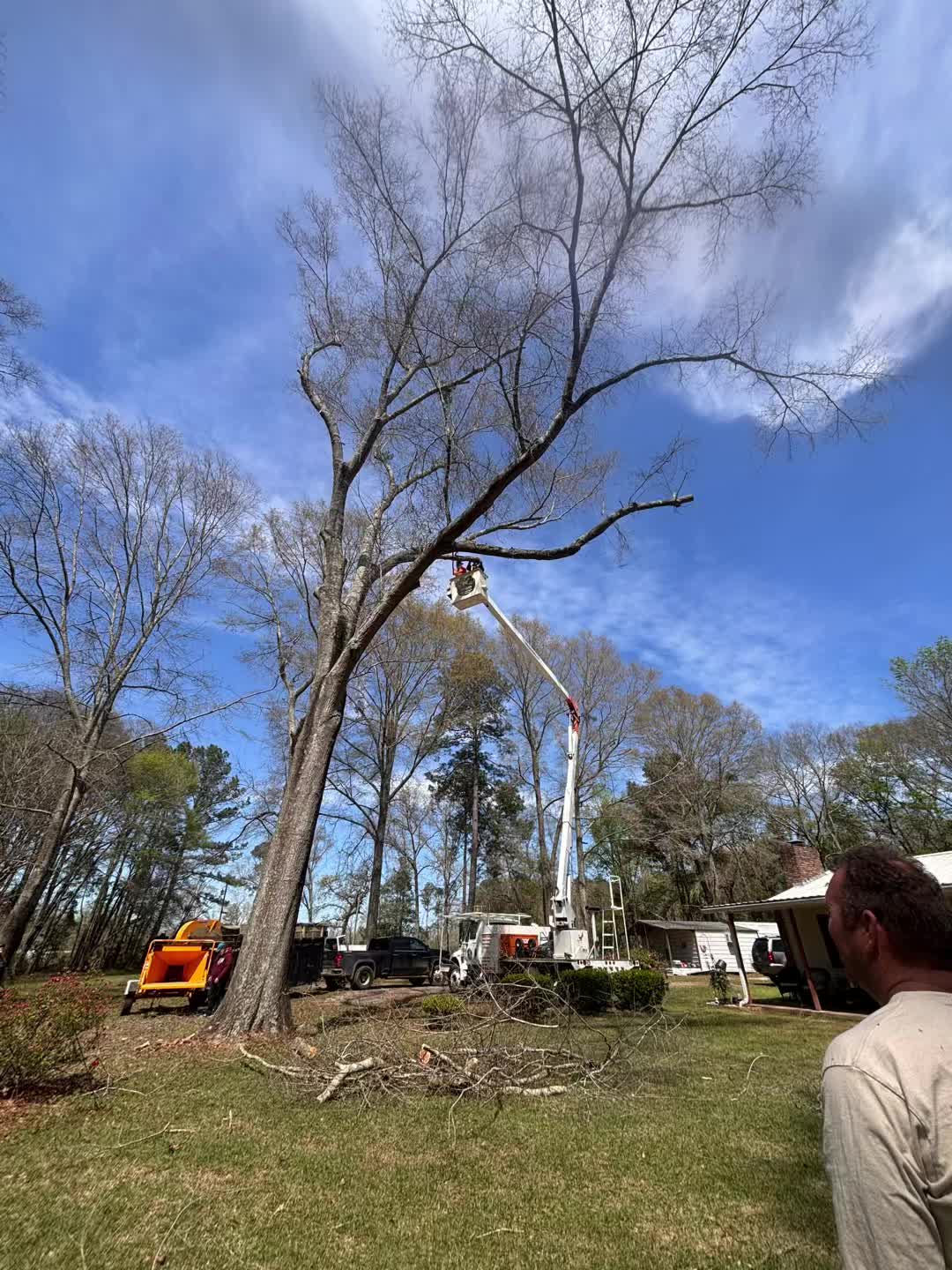 @CSR Tree Service, LLC.