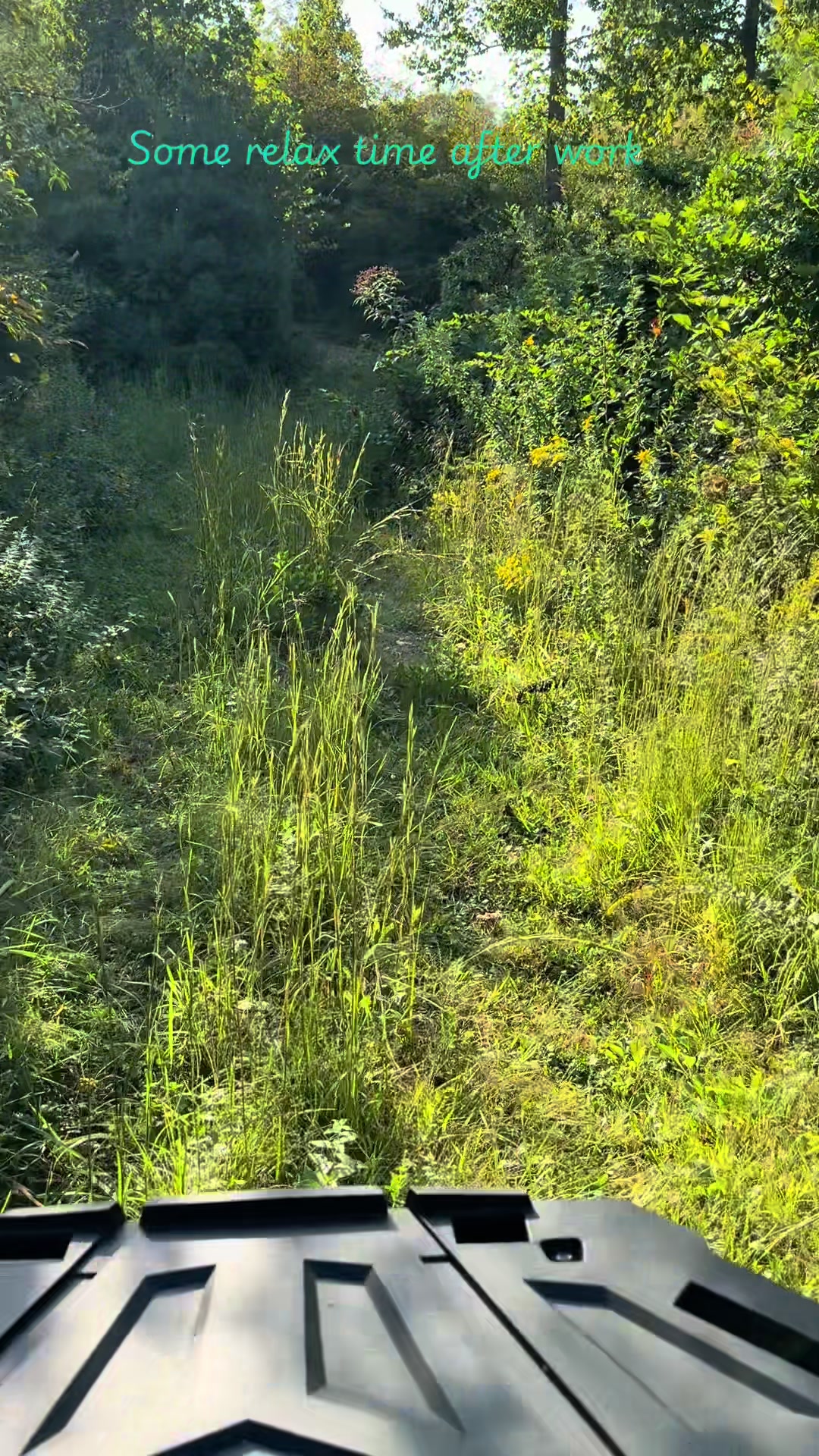 @Halseys Outdoors