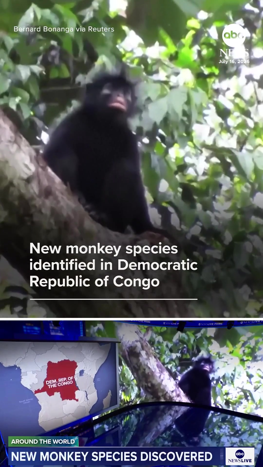 @ABC News