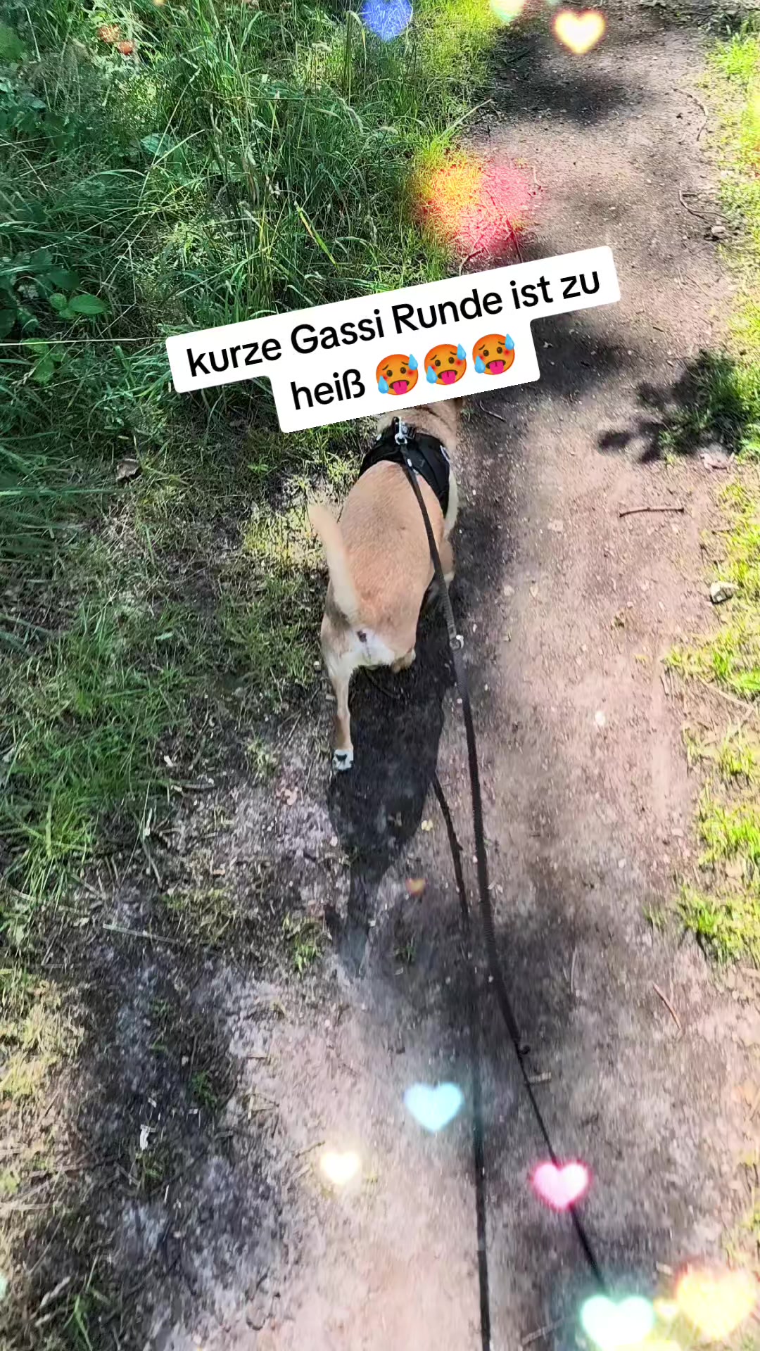 @❤️Kathi❤️Milow🐕❤️