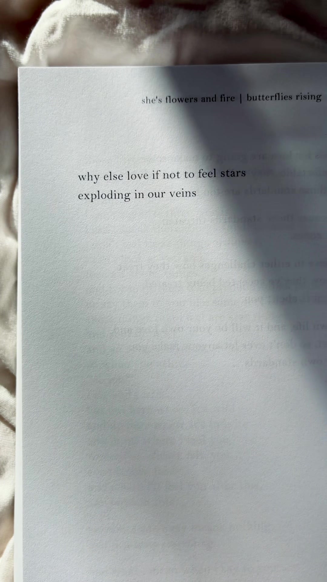 @butterflies rising