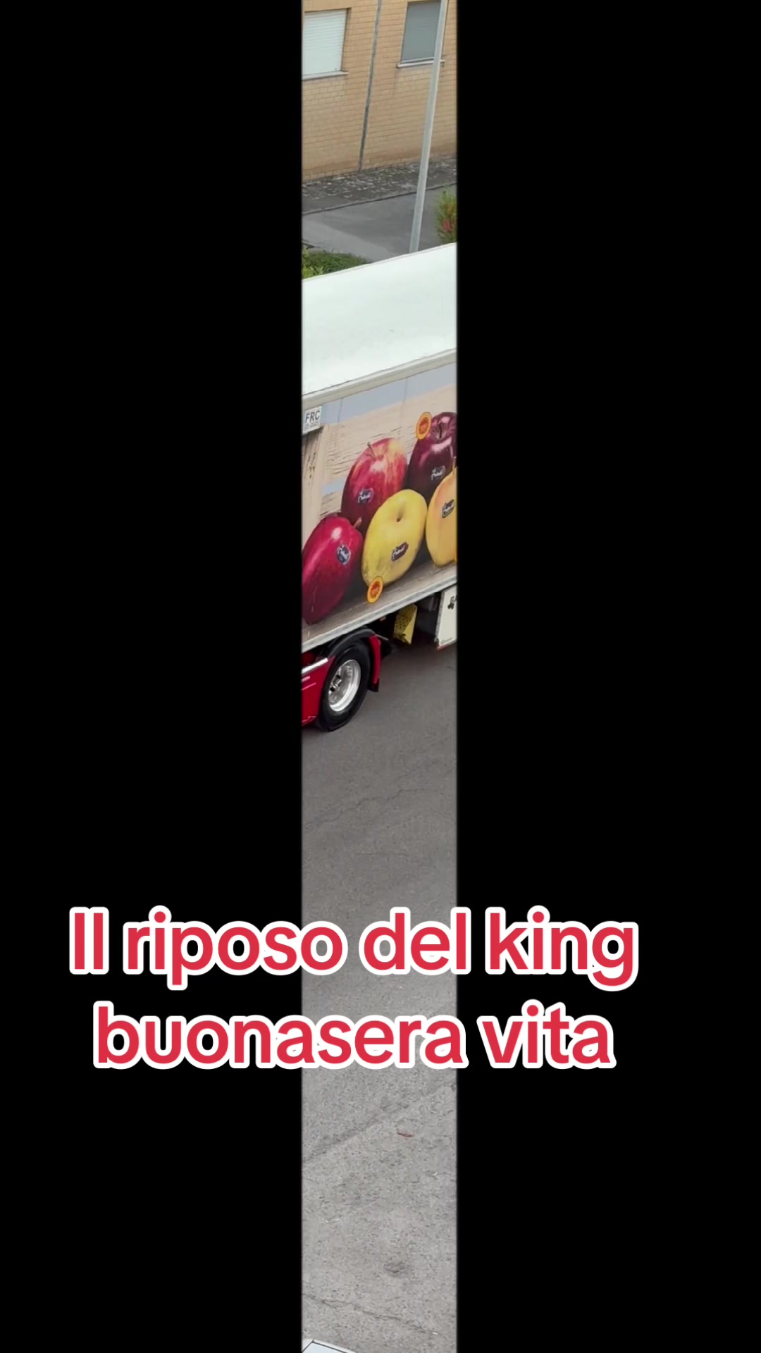 @scugnizzo 69