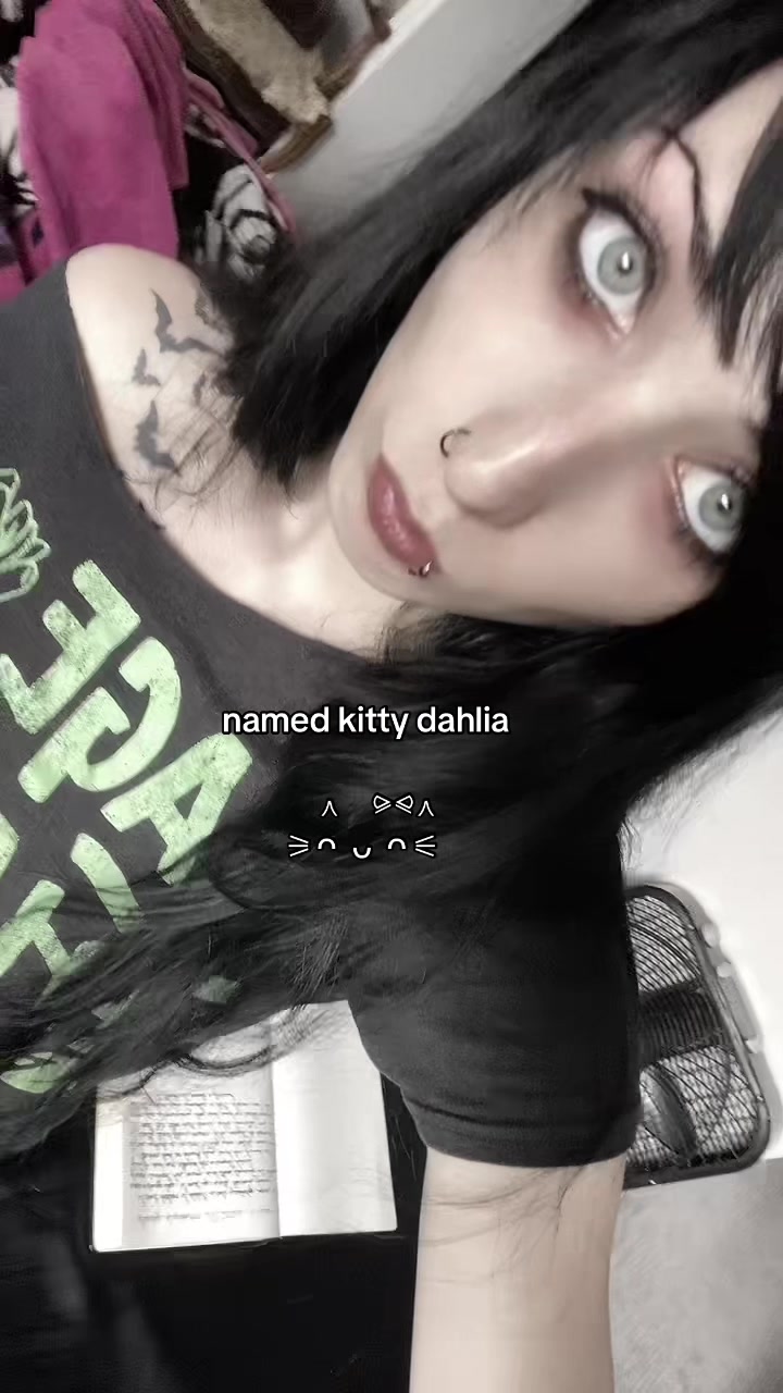 @kairi 🪽🐇 🦢