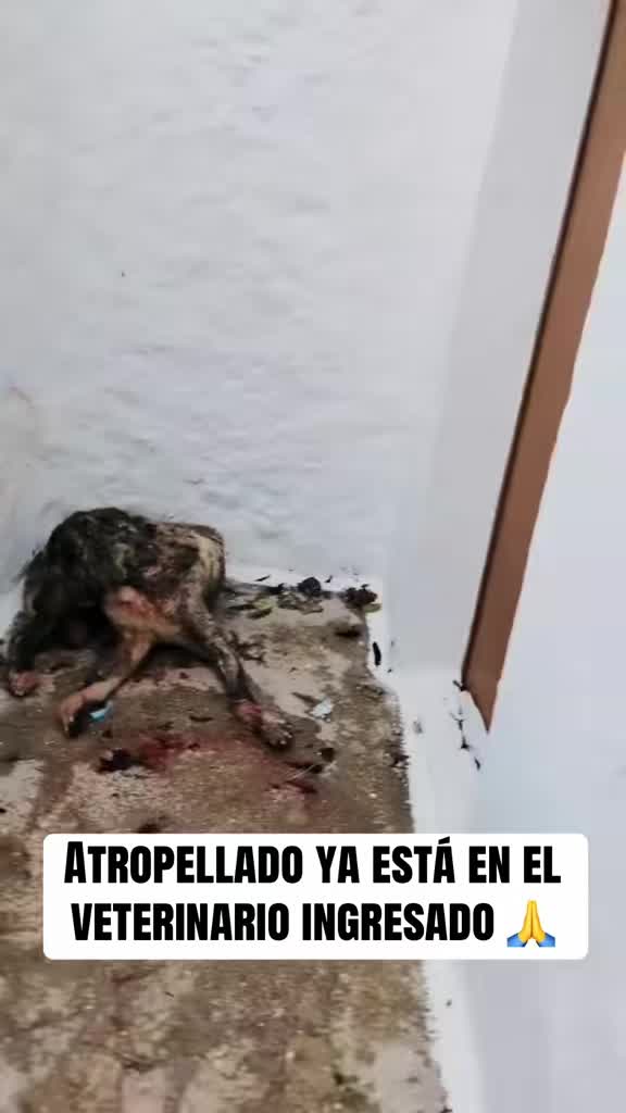 @refugiogranada39