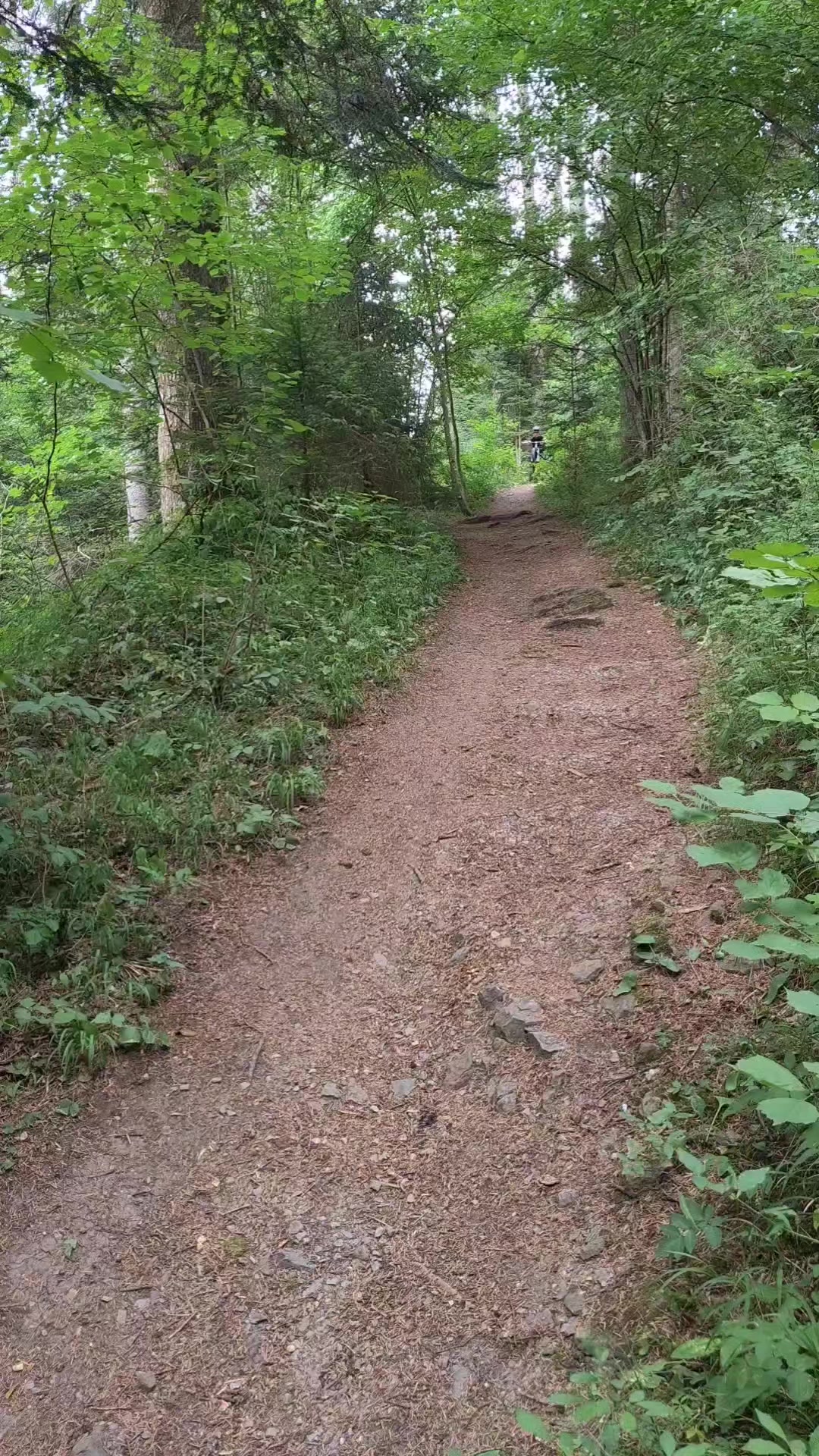 @elias123mtb