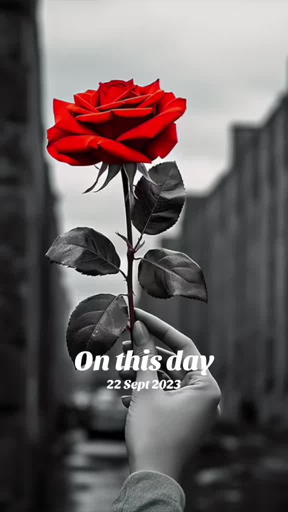 @❤️love❤️❤️is life