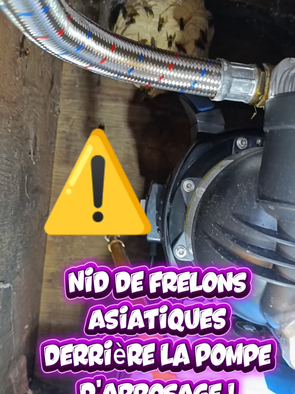 @Médoc Guêpes Frelons Services