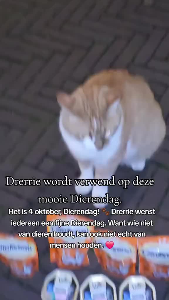 @Zey_motivation