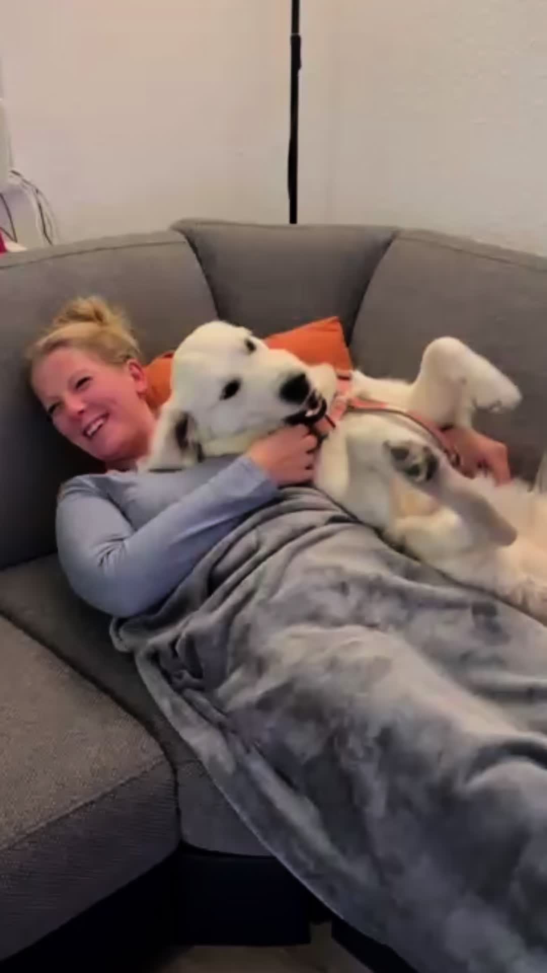 @Melli86