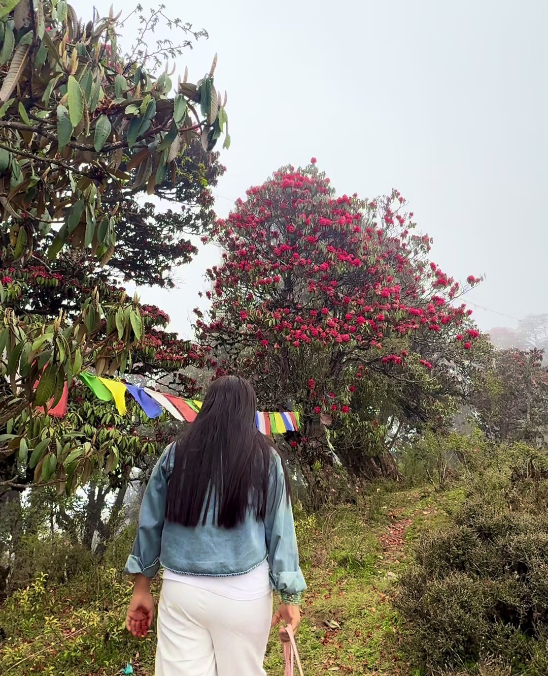 @Reetu Bantawa Raee
