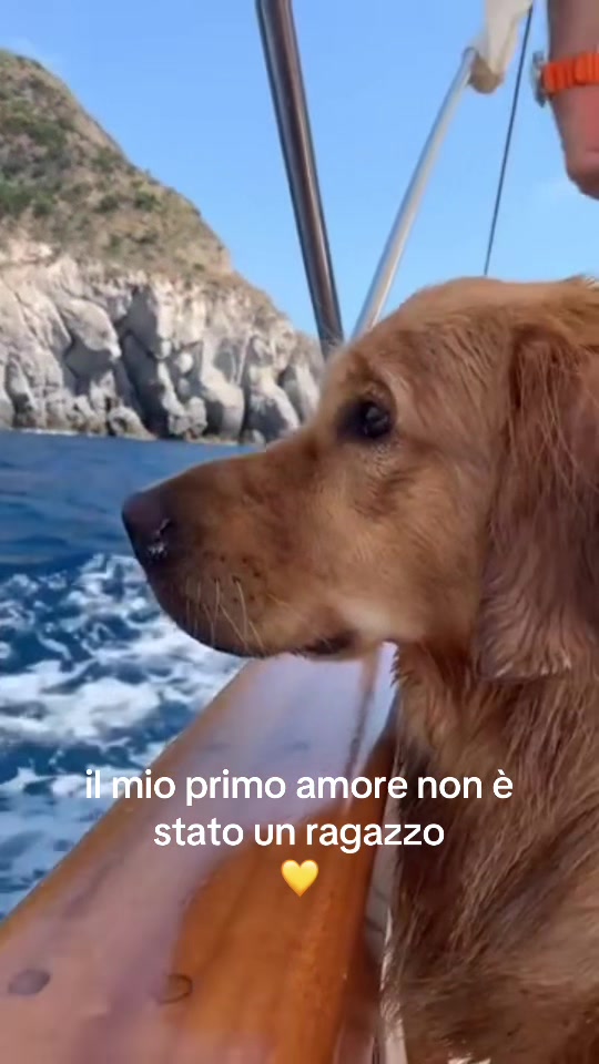 @llala.spam