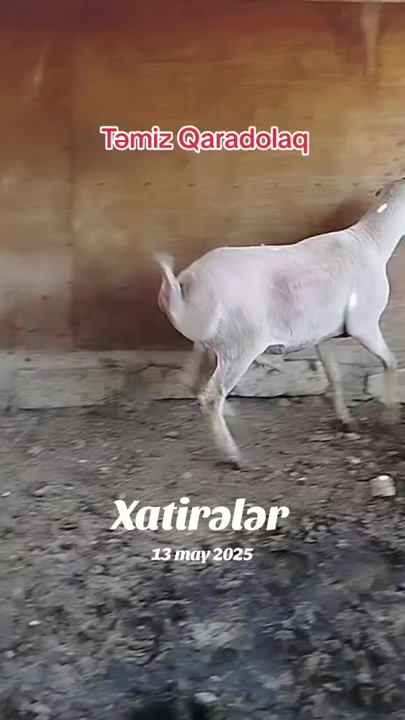 @kend_həyati_041