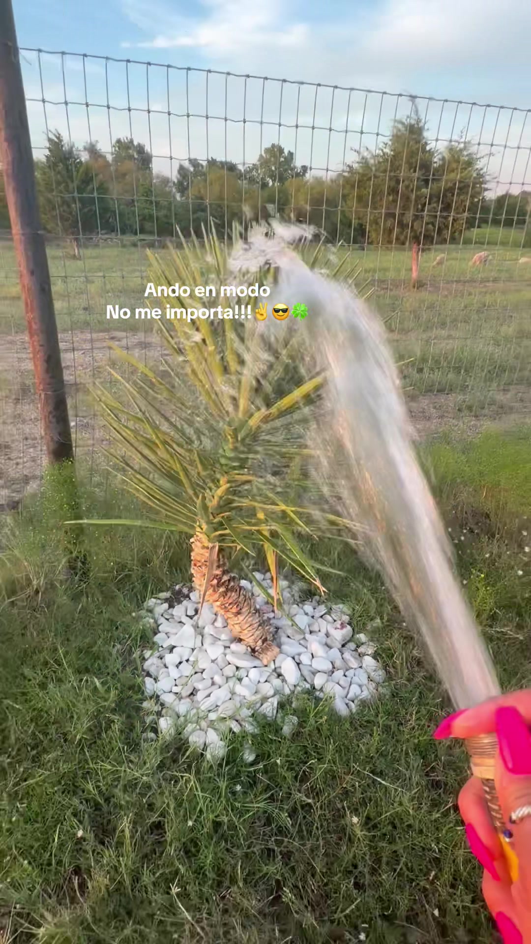 @Meyhrdz