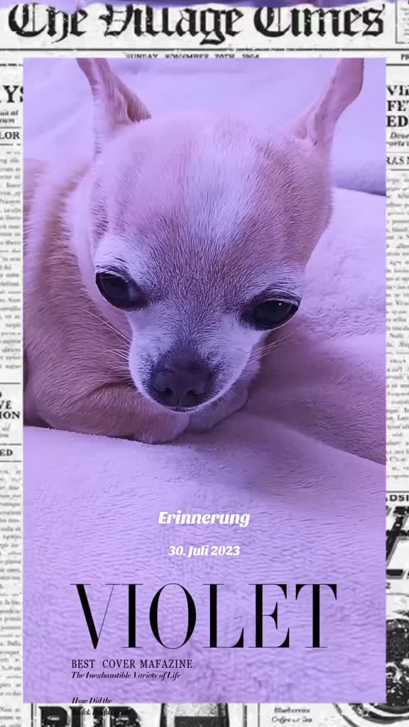 @Zweihorn
