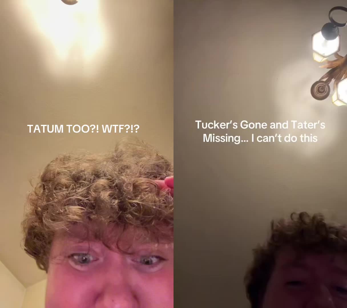 @Noturaveragegamer