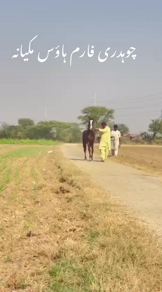@chaudhry Farm house
