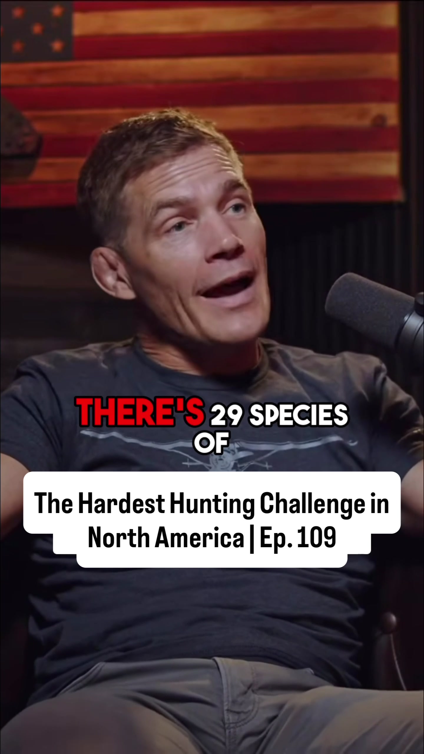 @TheWildChaosPodcast