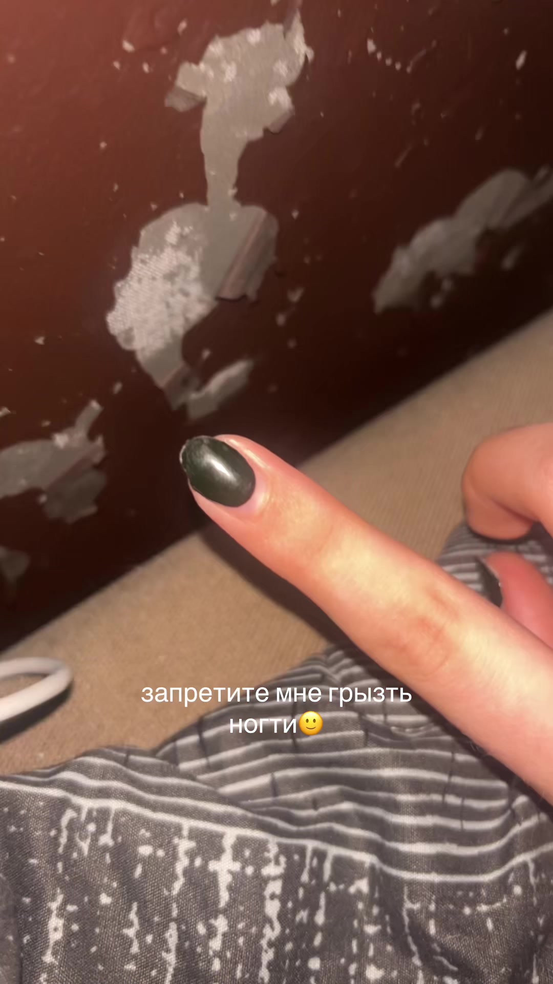 @шоня сайнуха