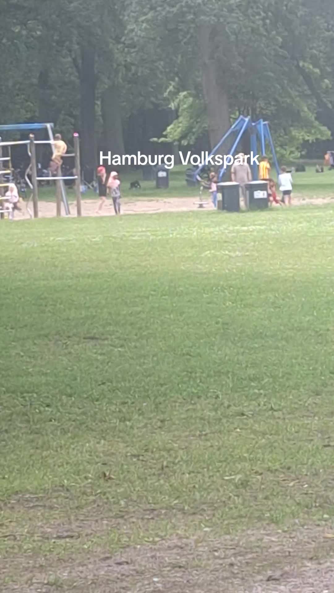 @J&ouml;rn_Sch&auml;fer#61