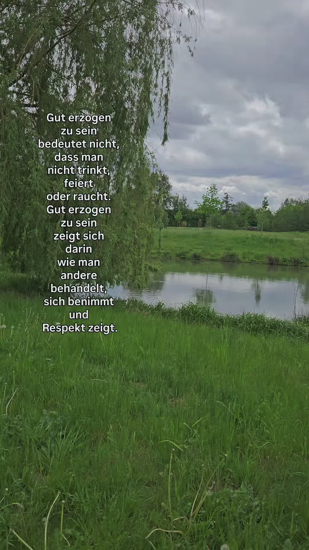 @๐๐๐๐๐๐๐ ๐จ