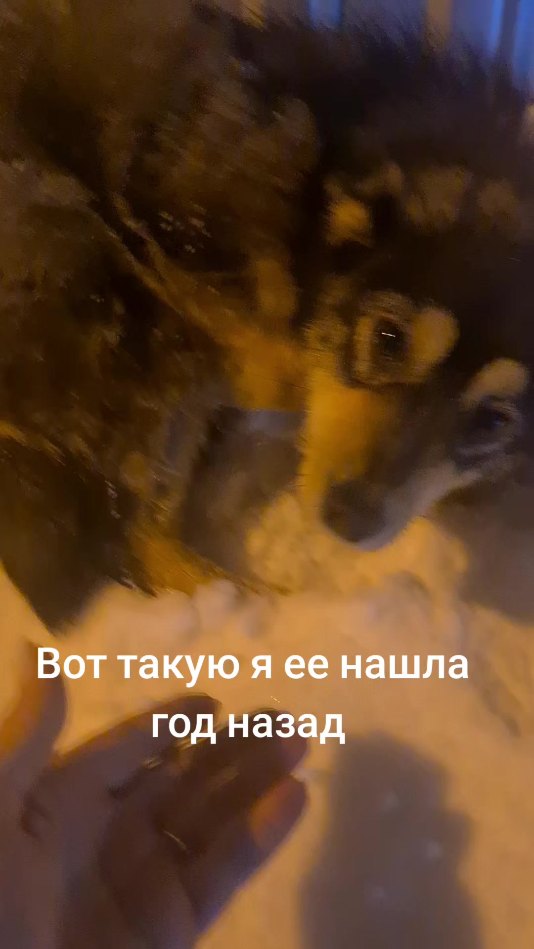 @Arina_11_007