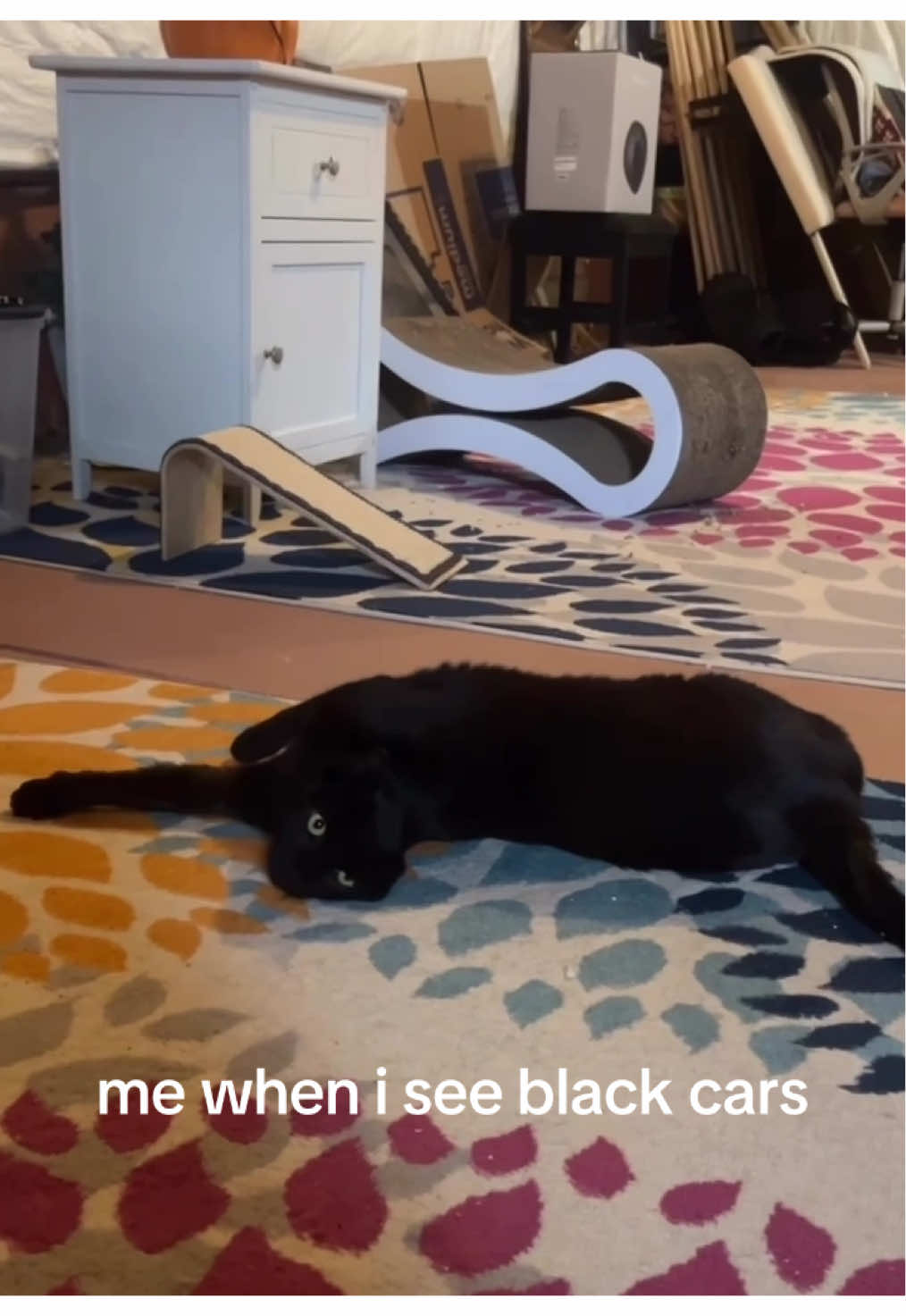 @Carly🫶🏼