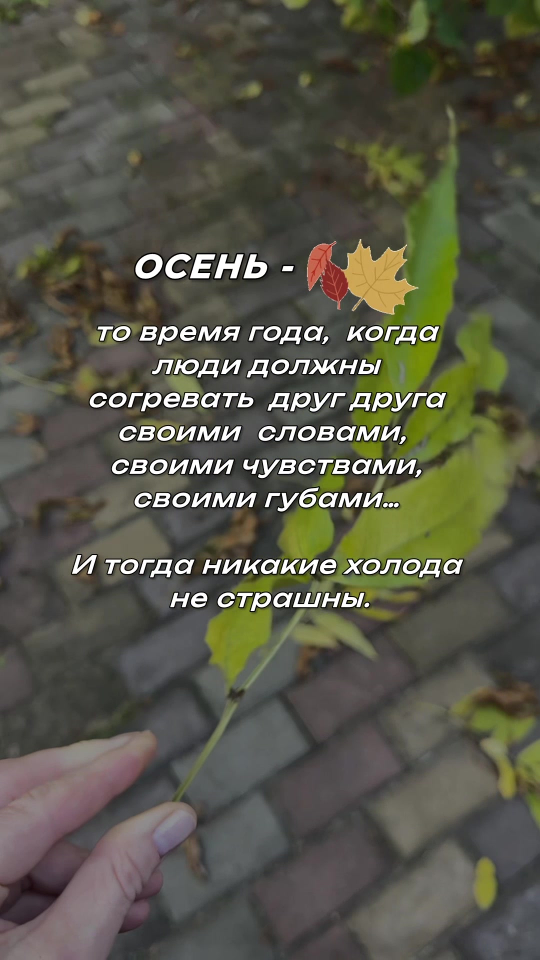 @Vera