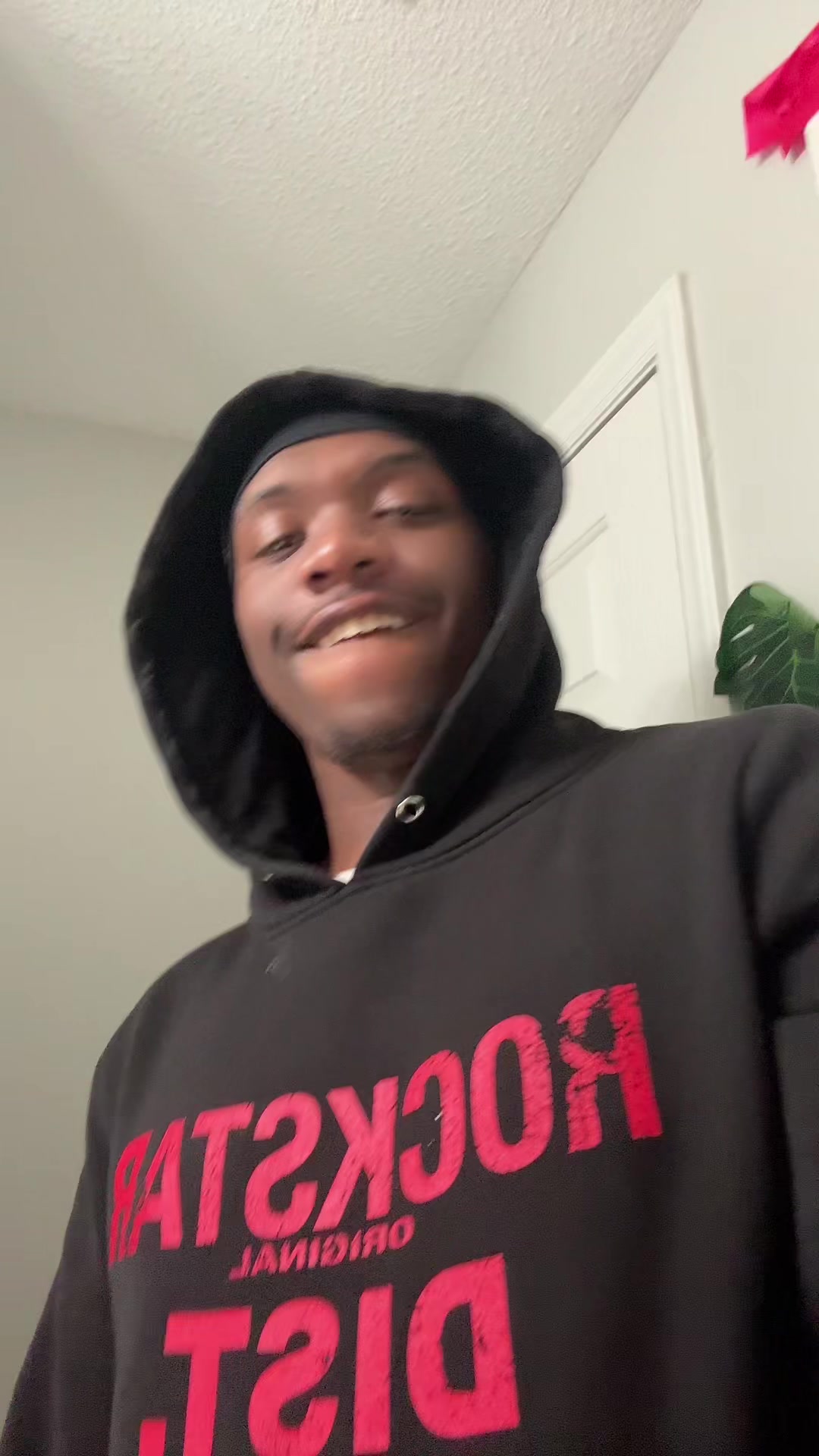 @Twingostupid
