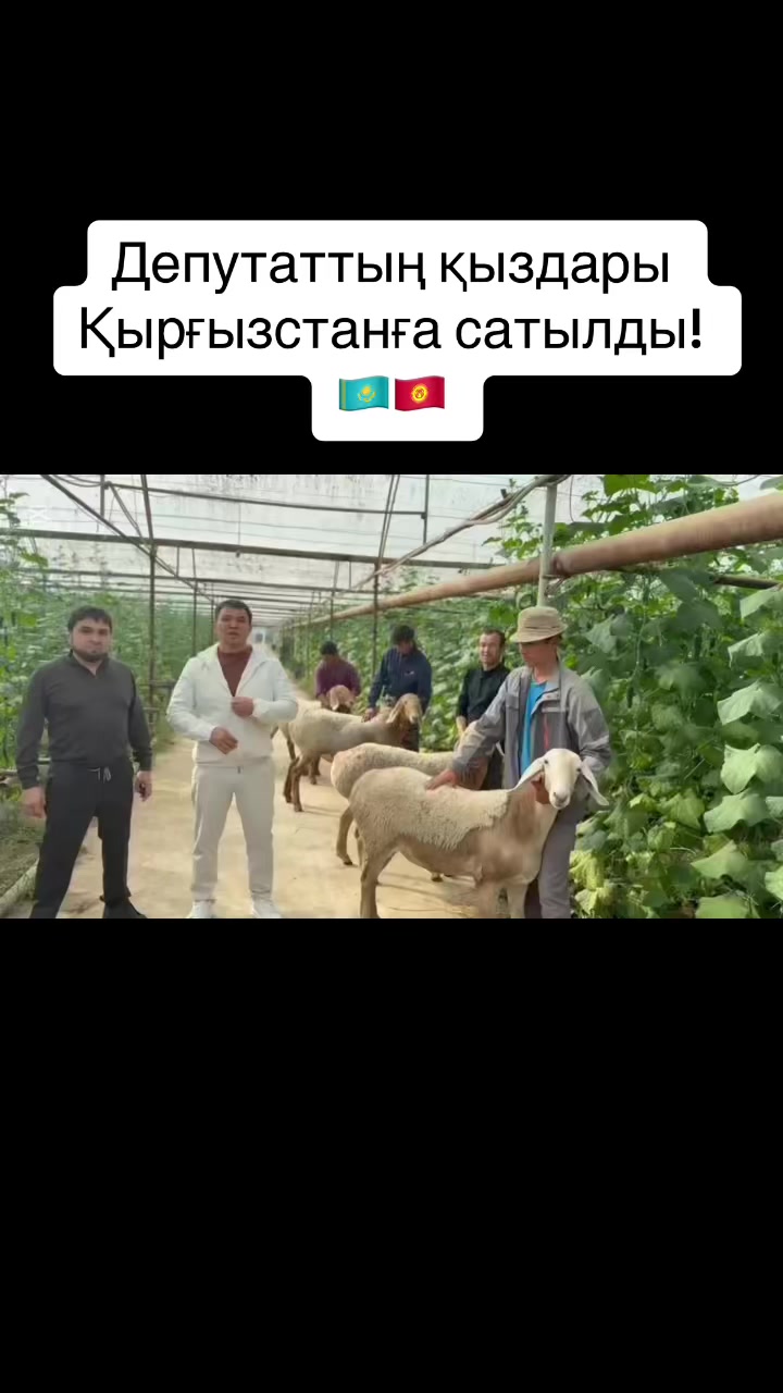 @Kuanysh Myktybaev