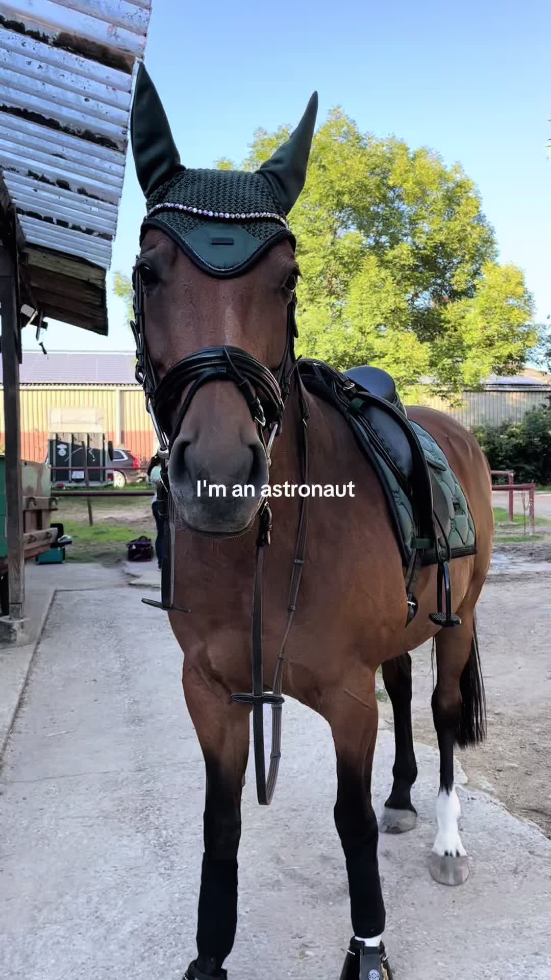 @jumpingmare
