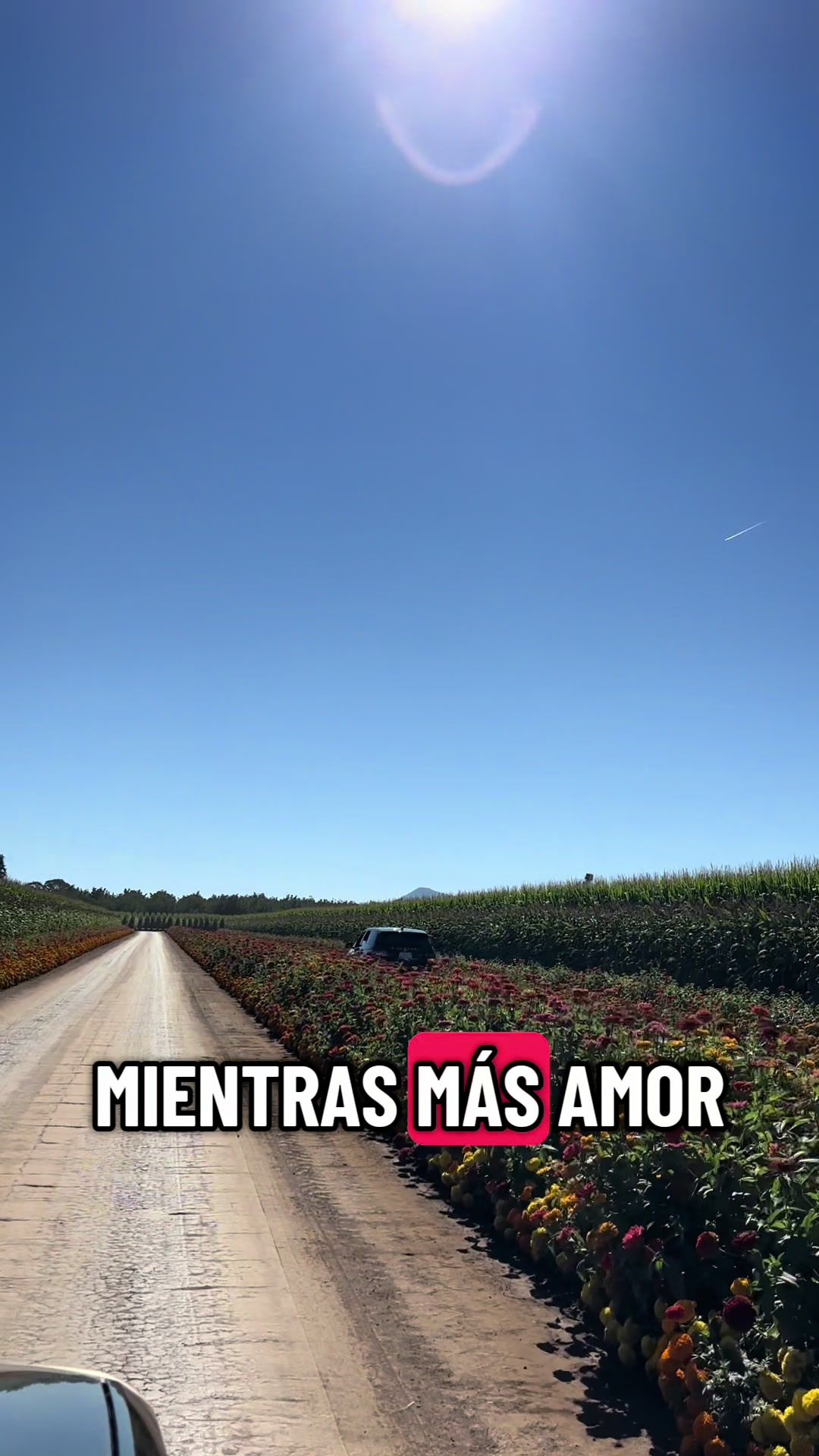 @DEA