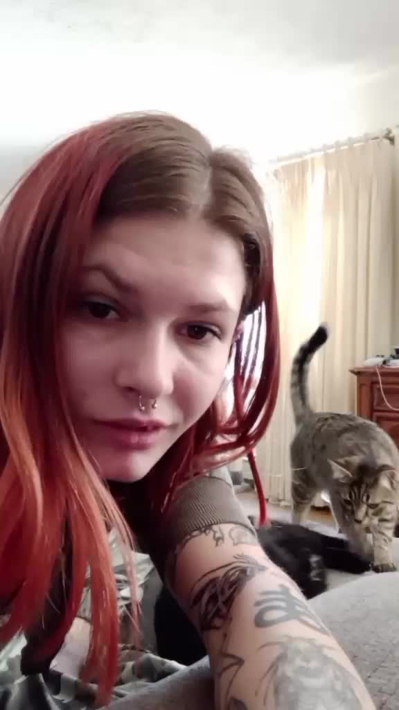 @AleisterWolf666Art