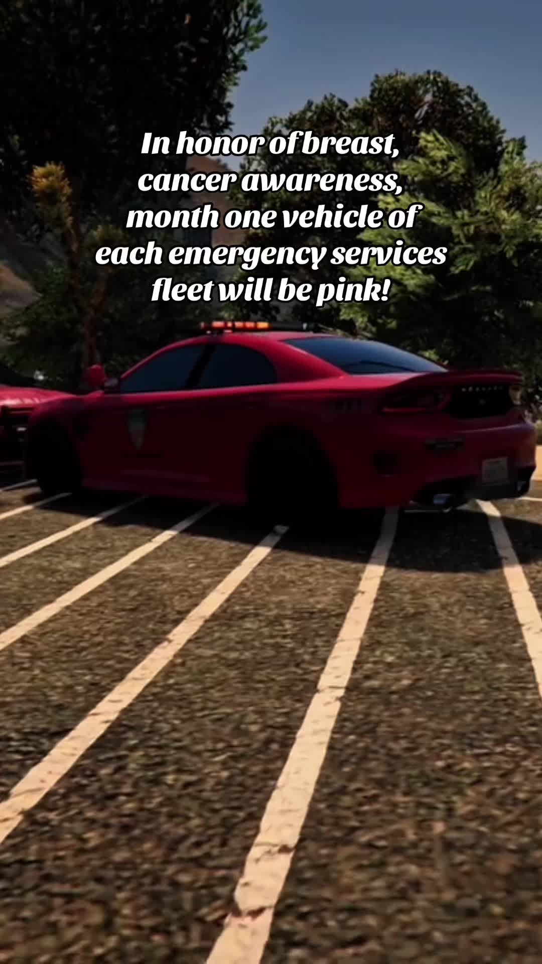 @Texas State Roleplay (TSRP)