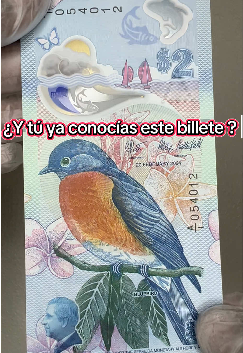 @Carchy🪽