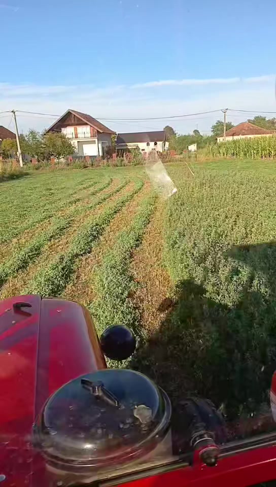 @Rašo