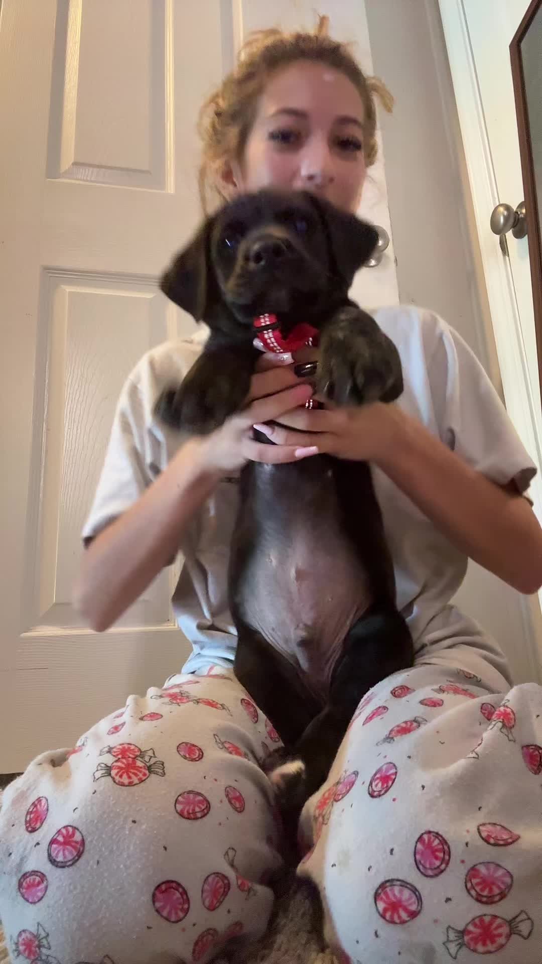 @🍪