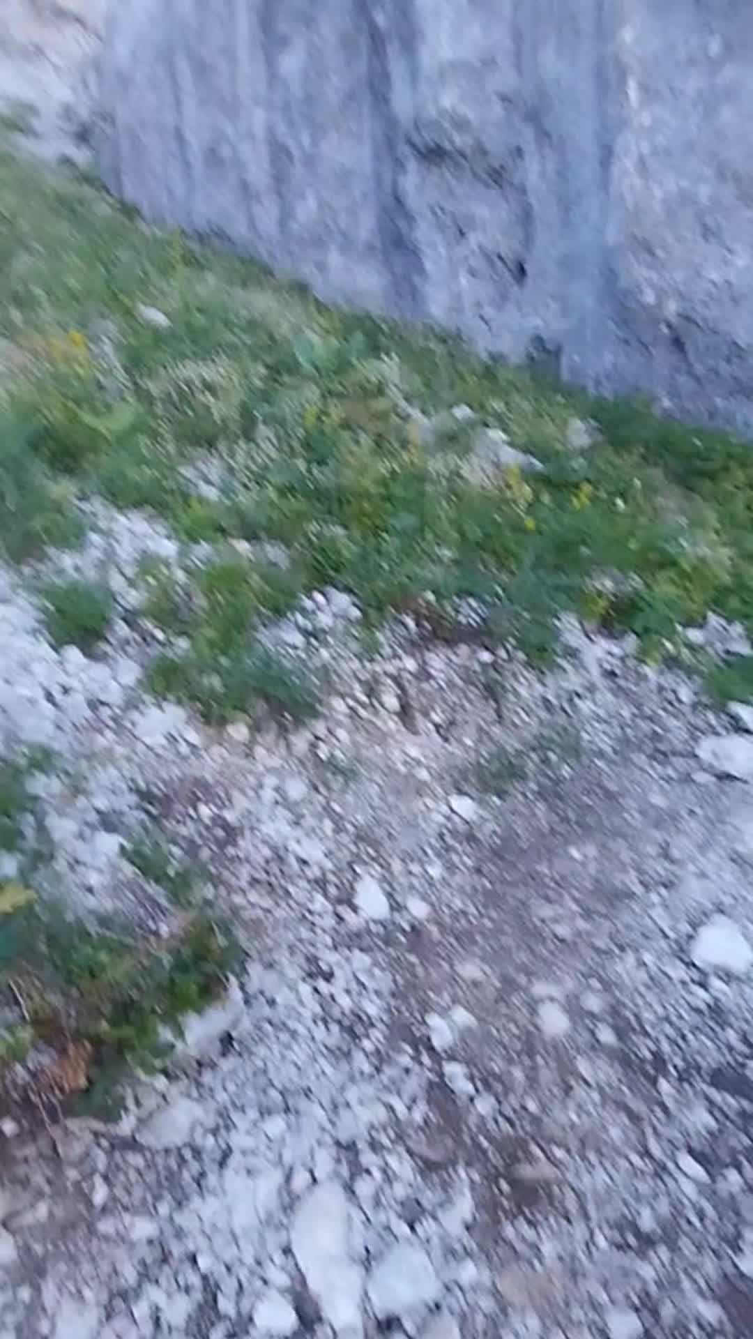 @wolfthebest