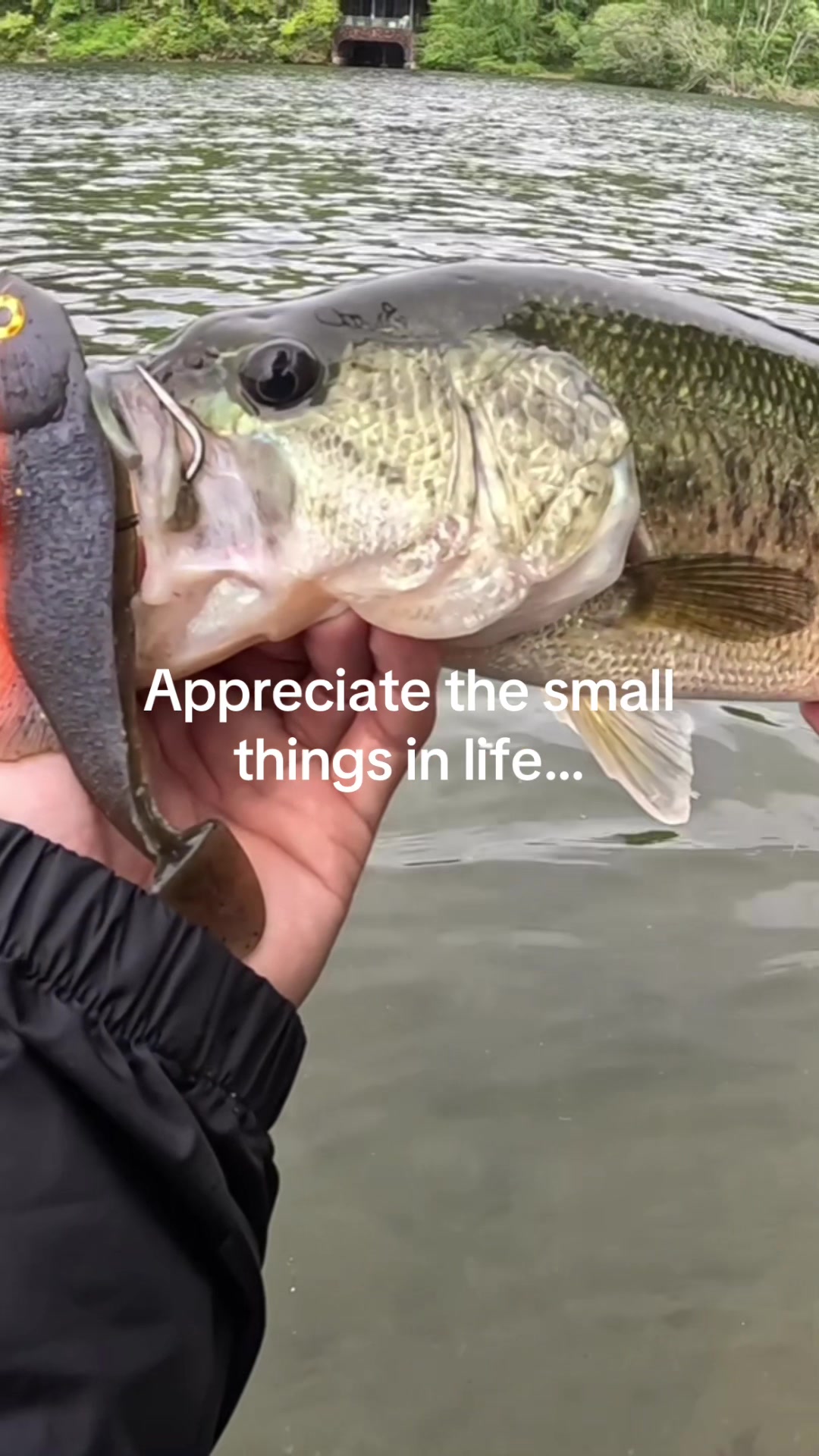 @sams.fishing_